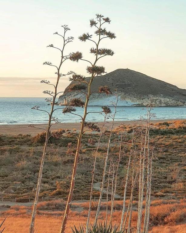 Exclusiva Casa Con Encanto En Agua Amarga Agua Amarga  Exteriér fotografie